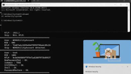 开发者不满微软MSRC响应流程，披露Windows本地提权零日漏洞