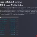 “小飞贼”杀入Linux，内核级流量拦截