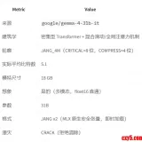 最适合网安公司研究的大模型（越狱版Gemma-4-31B）