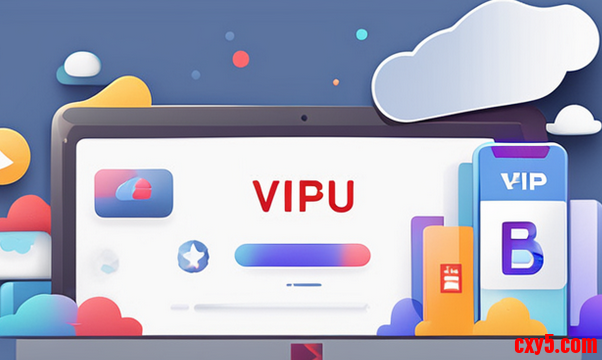 vip功能网盘