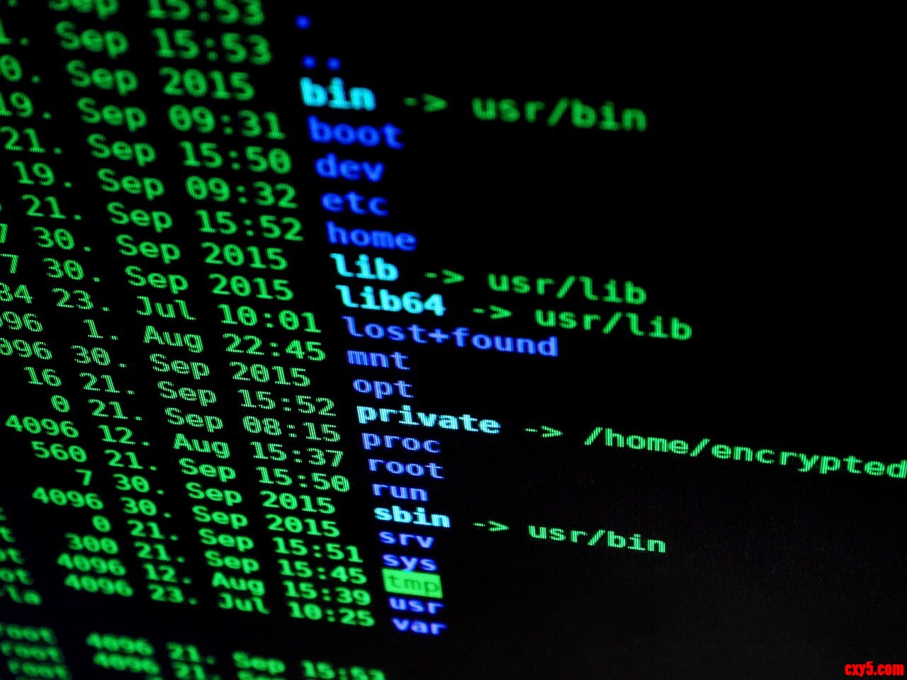 hacking-1685092_%e5%8f%af%e7%94%a8.jpg